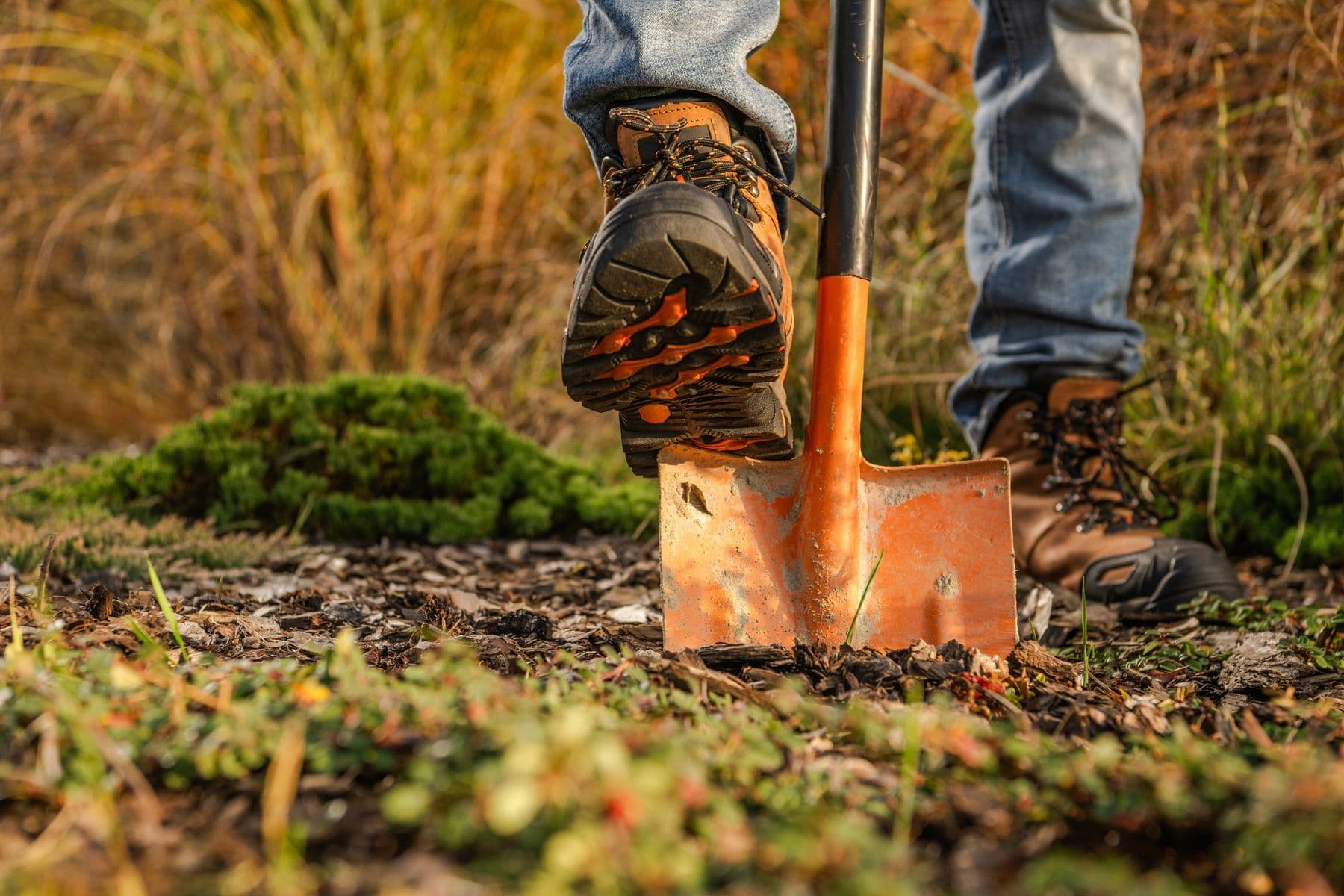 Soil sample being inspected with shovel and boot for reference