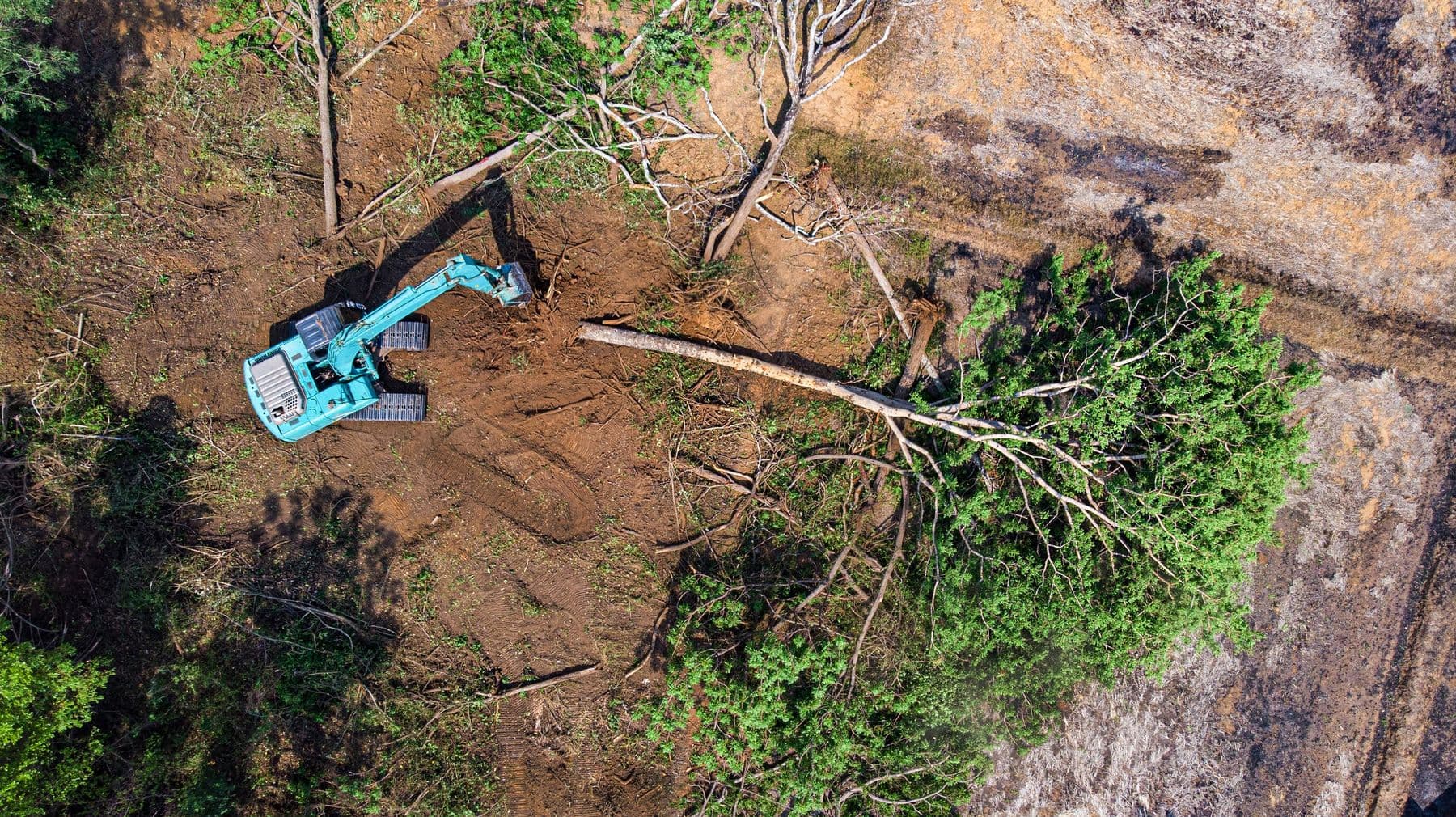 Aerial view of land clearing on East Texas ranch acreage